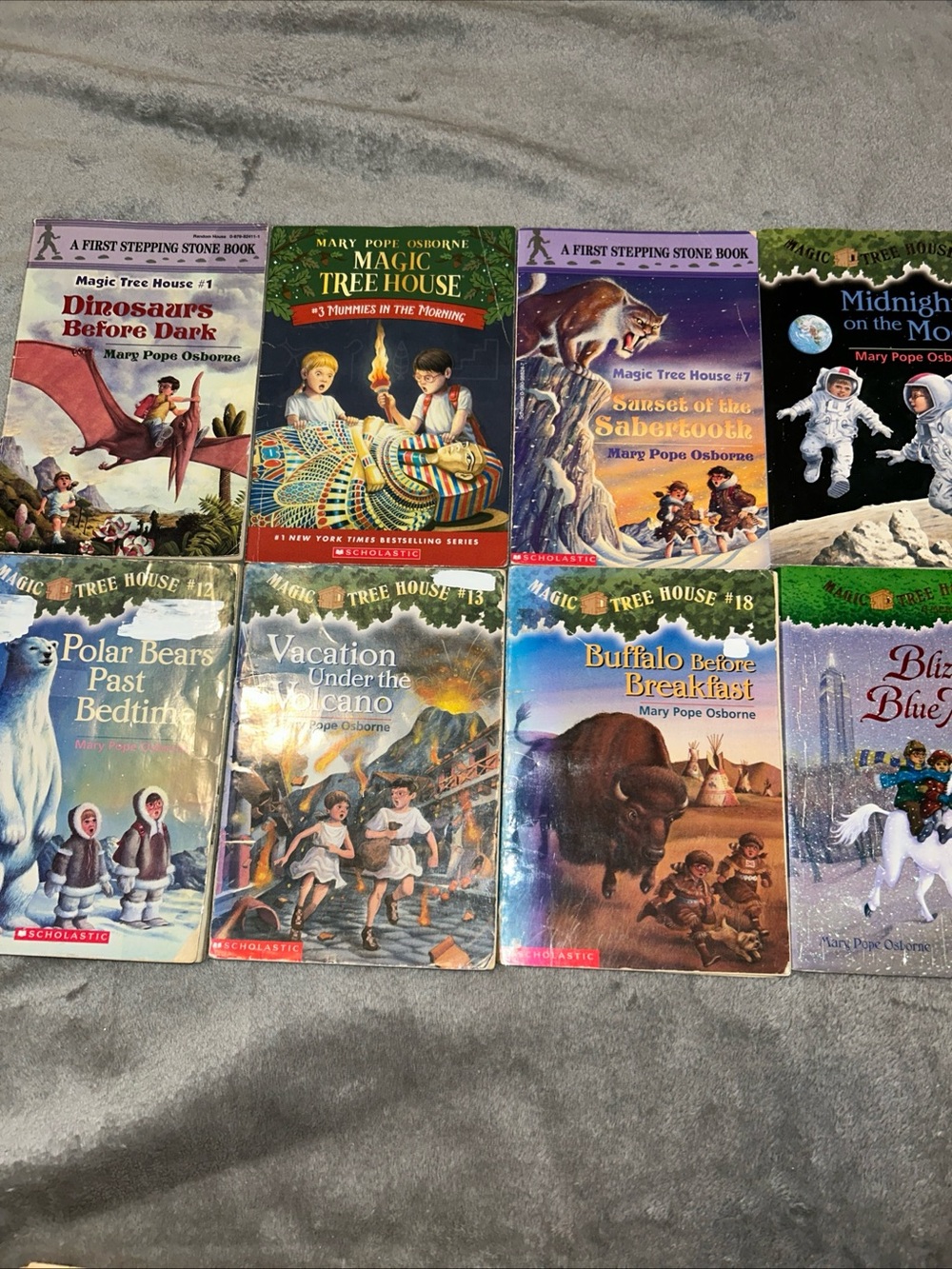 Lot Of 8 Magic Tree House Chapter Books By Mary Pope Osborne, Miscellaneous Lot